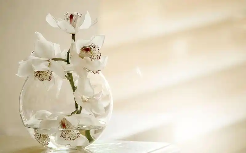 文艺小清新最喜爱的花瓶摆件