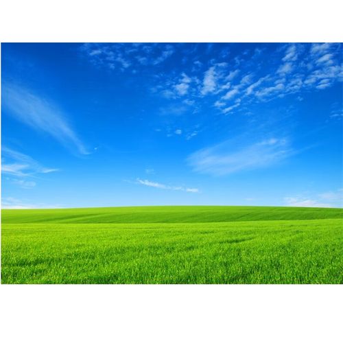 自粘辽阔草原大海报定制田园风光图自然风景挂画蓝天白云草地绿色壁画