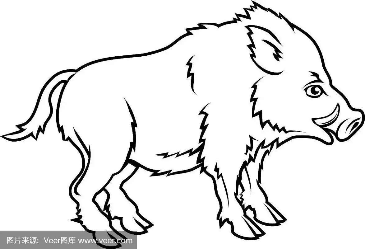 程式化野猪插图