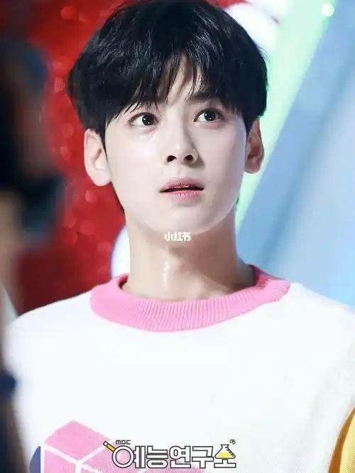 帅气美少年车银优