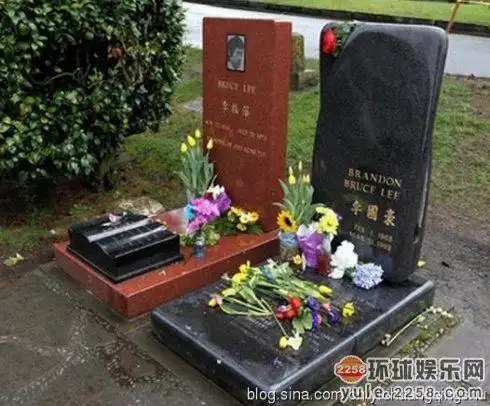 娱乐圈15大巧事:梅艳芳之死亡巧合 米雪现实中冥婚