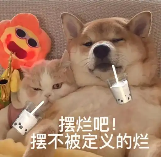 日常搞笑聊天必备表情包第566弹