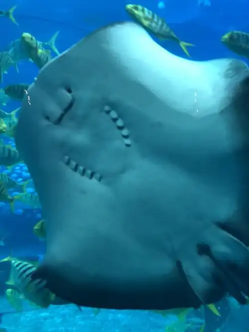 珠海之旅 - 美篇