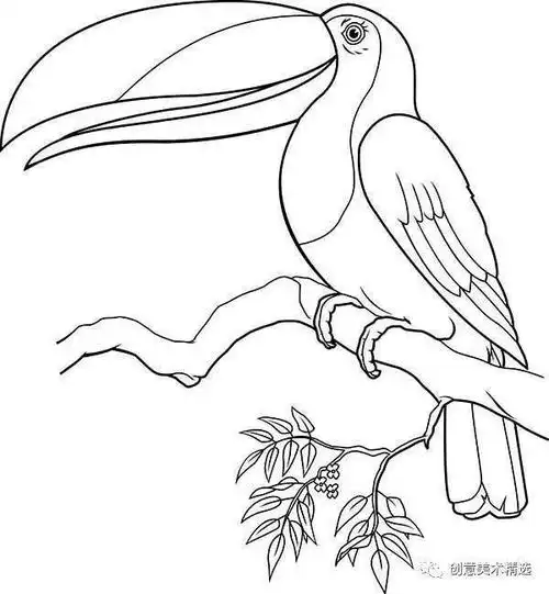 儿童画素材适合临摹的鸟儿主题线描作品