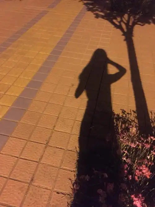 爱五月的夜晚,坐在晚风里听蔷薇花落下的声音,或者,在路灯下和影子