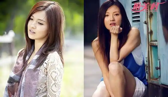 傅晶个人资料 傅晶与矢野浩二结婚并生女是真的?