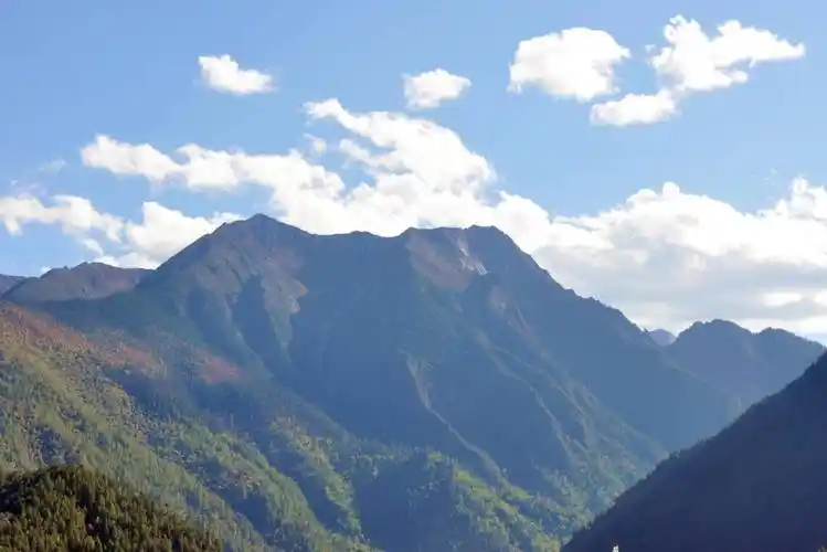 原创西藏林芝318国道上林波段的鲁朗林海风采