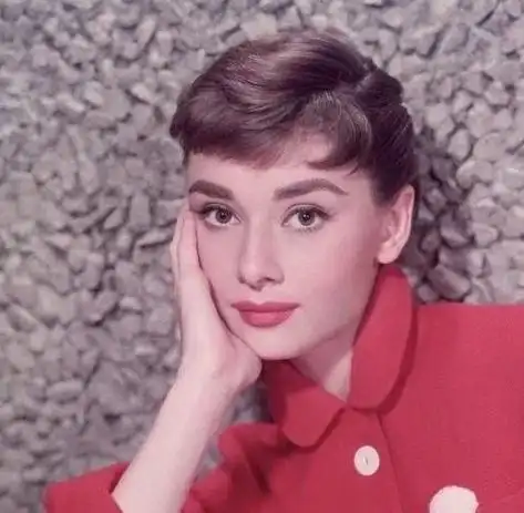 头像奥黛丽赫本头像