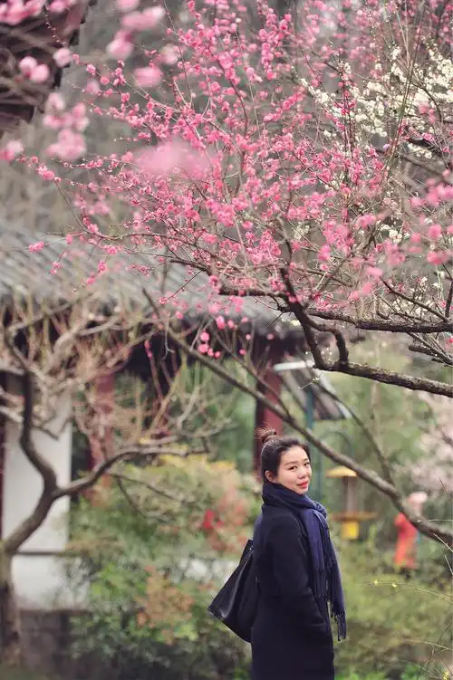 一朵梅花摘走了一个季节
