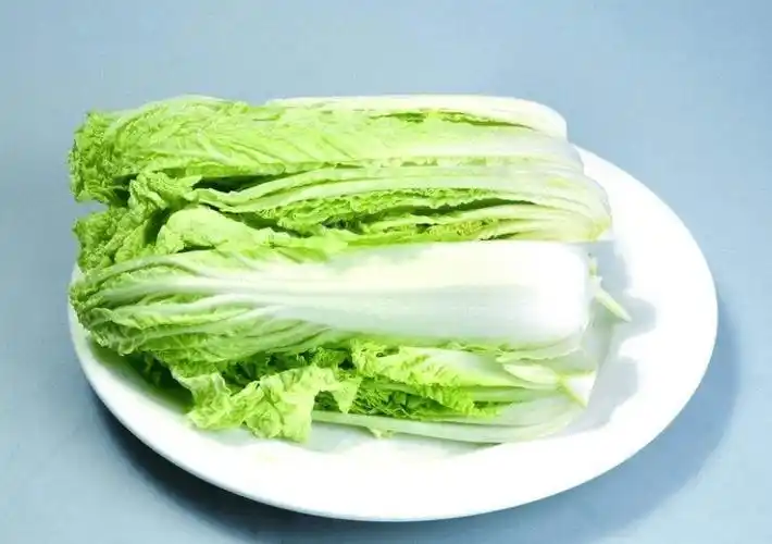 娃娃菜高清图片大图!