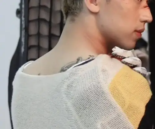 真希望有机会看清许魏洲的纹身