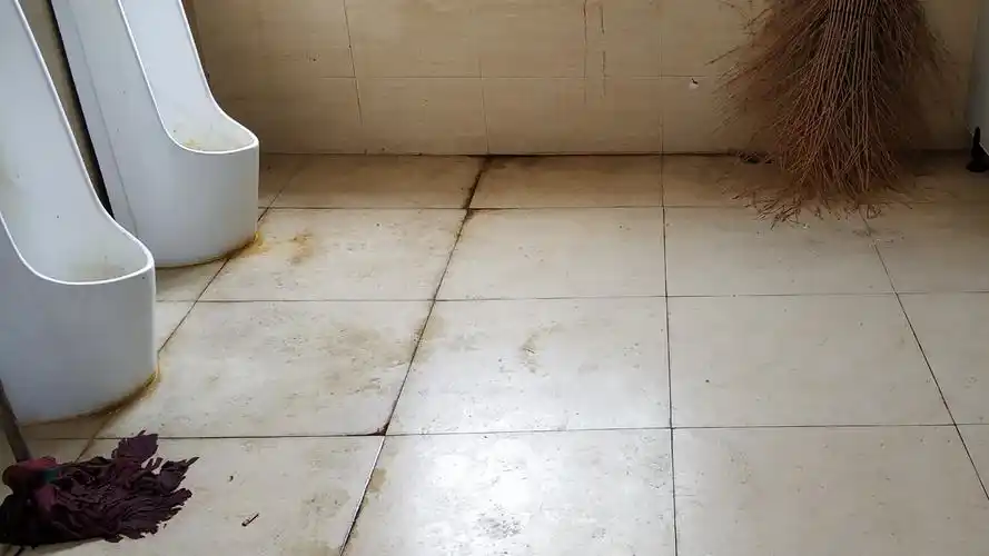 池州欢乐世界公厕太脏严损景区形象