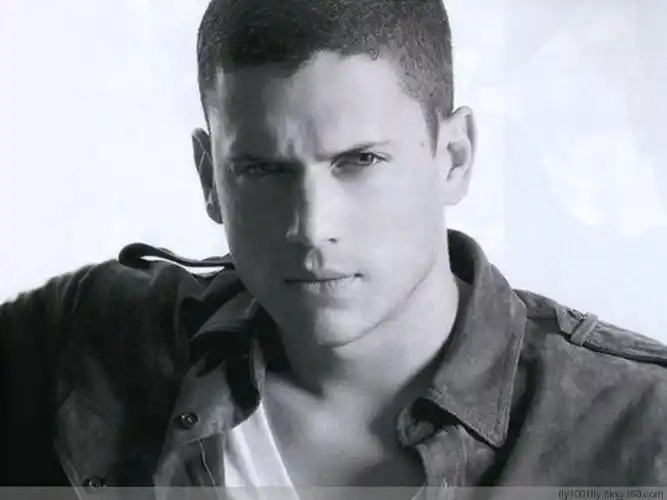 《越狱》男主角温特沃斯·米勒wentworth miller 出柜,成万千g友梦中