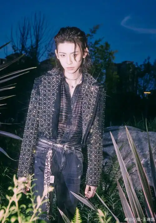 投稿被你推pick不是梦#我推的星造型#首期造型投稿for@小鬼-王琳凯,你