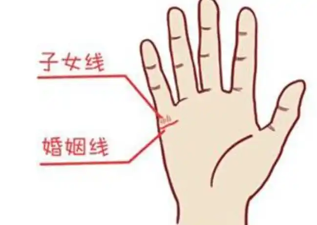 子女线手相图解大全图解,手相子女线弯曲