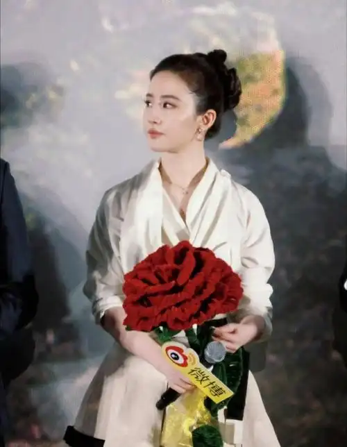 刘亦菲高颅顶丸子头