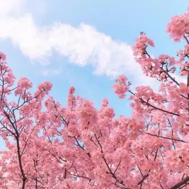 好运头像2021年好运风景头像 风景头像图片大全 -【爱个性】