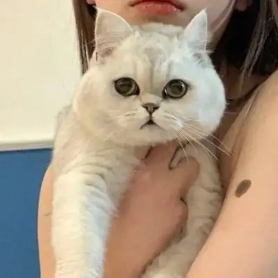 抱猫真人情头 ks诉凂_情侣头像_我要个性网