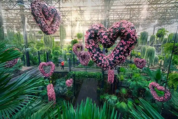 【春游"惠"玩季】2024年海外5大爆款踏青赏花地攻略来袭_花园_bay