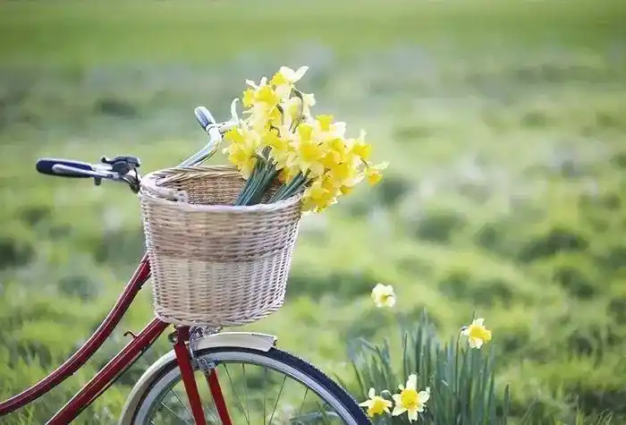 安静的享受生活,也是一个人的清欢