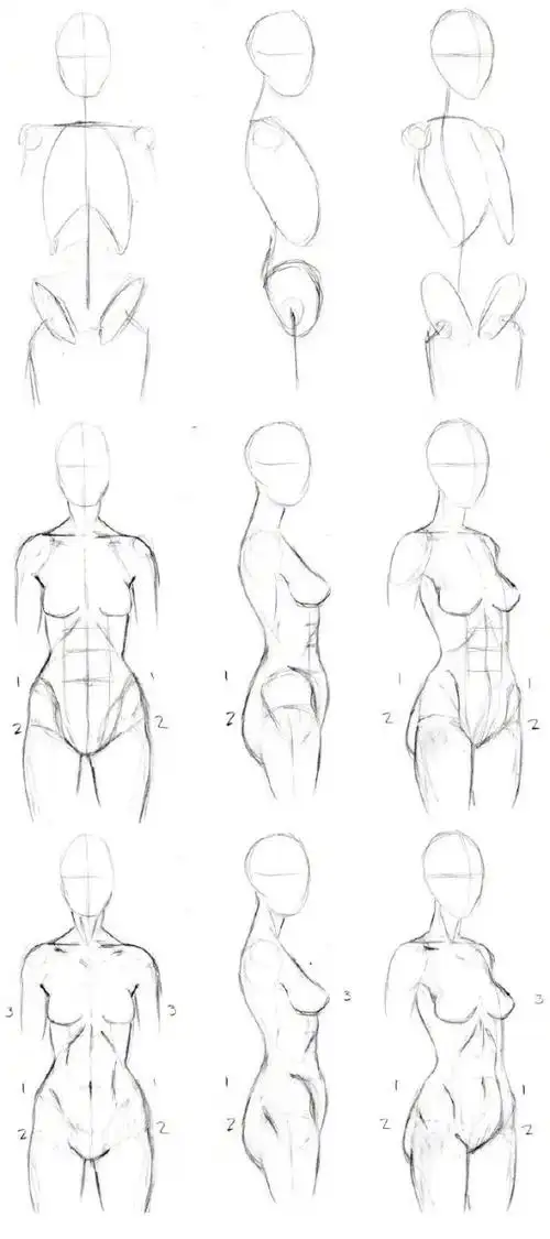 动漫绘画学习人物肌肉的画法技巧诀窍