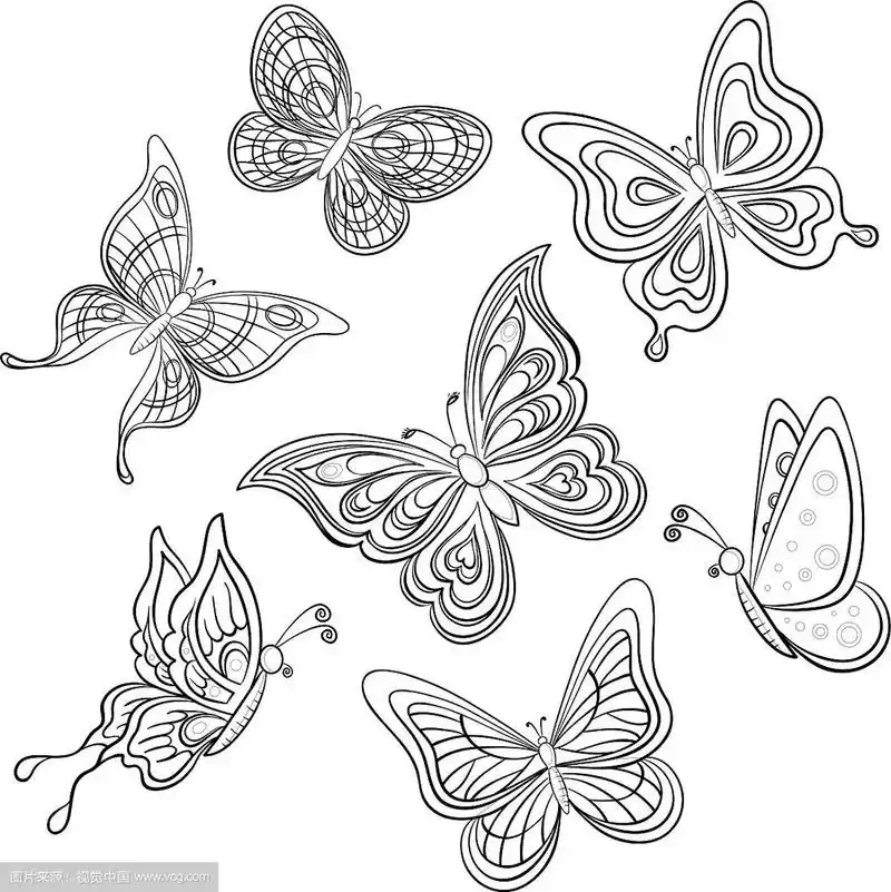 蝴蝶轮廓