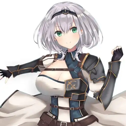 白银诺艾尔推特图20张