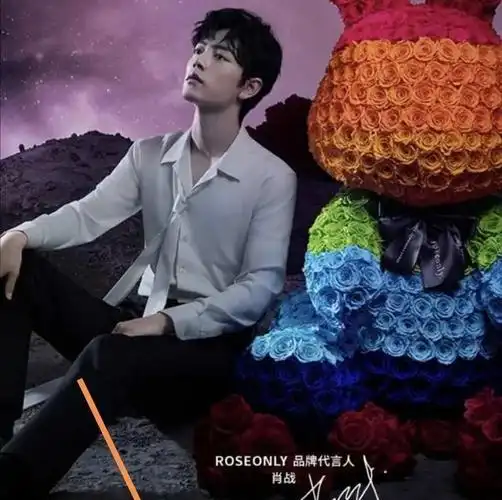 肖战专属写真宣传图代言方真的用心了