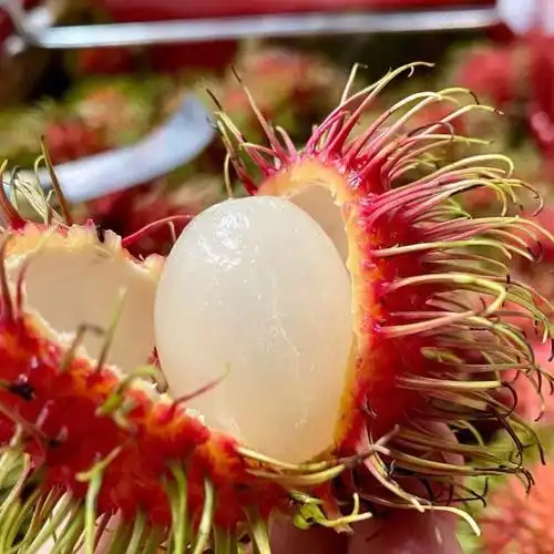 『海南保亭红毛丹7号』顺丰空运红牡丹整箱现摘新鲜水果毛荔枝5斤