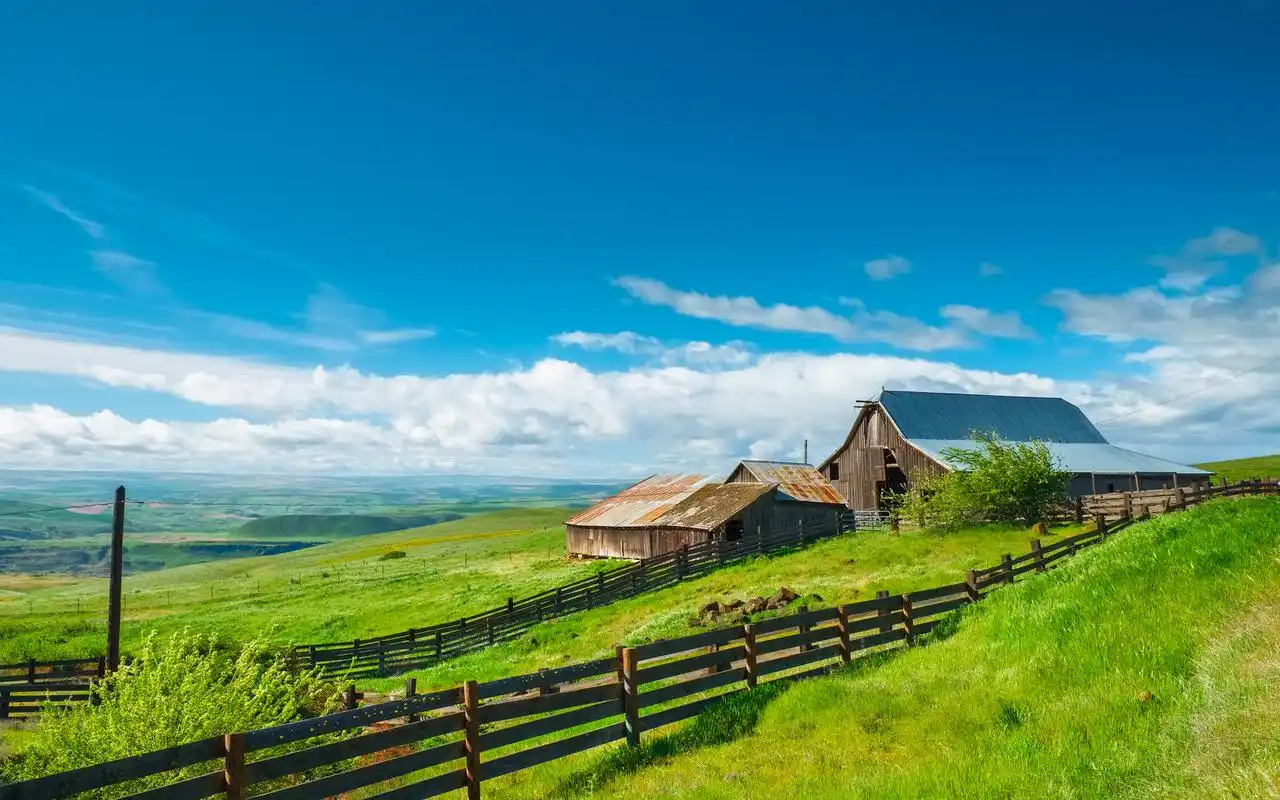 清新绿色草原护眼风景壁纸