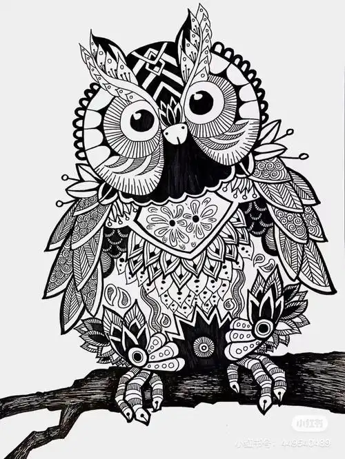 黑白盆栽,画的非常细致到位线条很流畅,很考验小朋友的专注力跟忍耐度