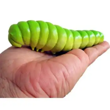 新款大号仿真昆虫模型玩具儿童礼物蜘蛛蝗虫蝎子蛇独角仙