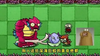 植物大战僵尸:天才vs庸才,小鬼头能否战胜小火龙?