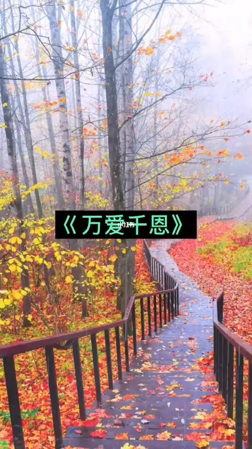 王琪巜万爱千恩动人心弦的词典唱哭多少