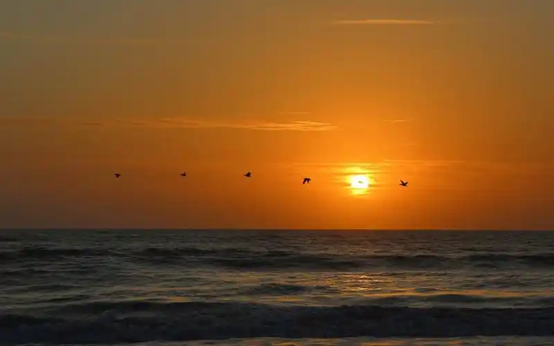 唯美的海边傍晚风景电脑桌面壁纸下载