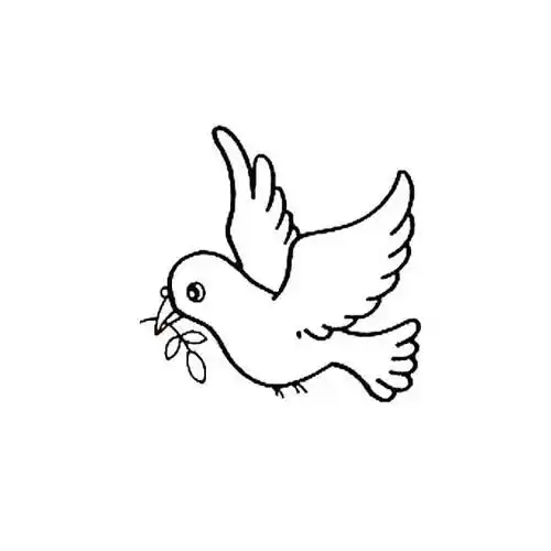 鸽子简笔画和平鸽的画法,儿童简笔画和平鸽和平鸽简笔画画法教程鸽子