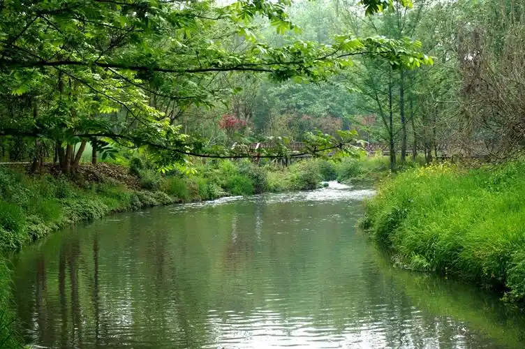 小河两岸春来早