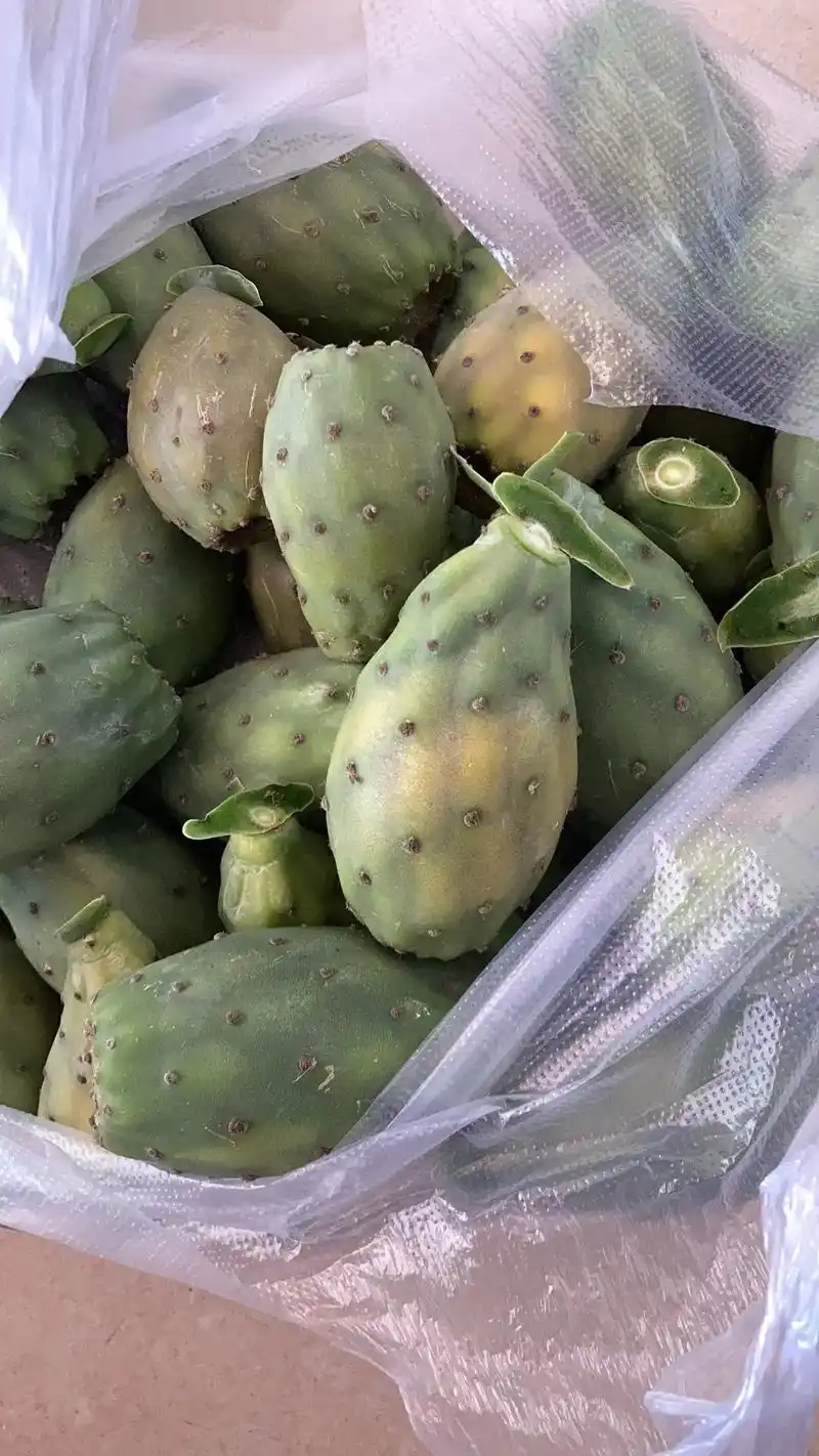 食用型果类仙人掌 装箱发货中 下单进入厨窗购买 #纯天然无 - 抖音