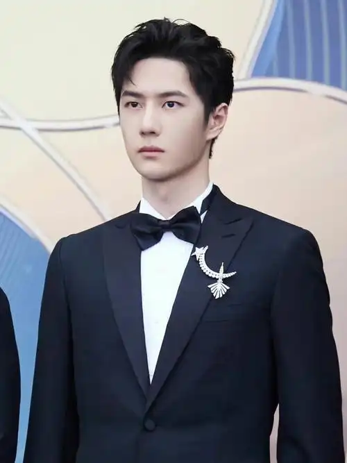 王一博风雅魅力