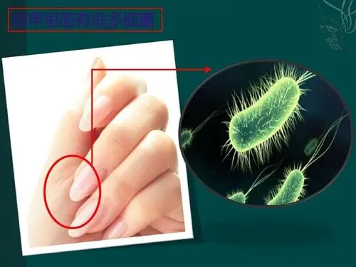 宝塔区第五幼儿园大三班《勤剪指甲讲卫生》