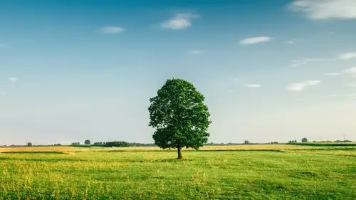 精选唯美意境自然风光桌面壁纸