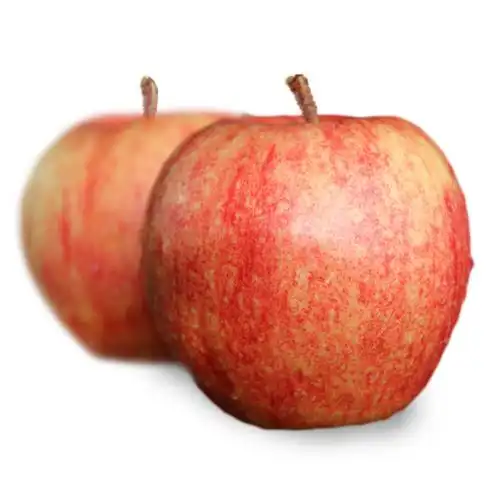 【旷古农业新鲜水果图片】辽宁营口乔纳金苹果 粉面刮泥苹果非山东