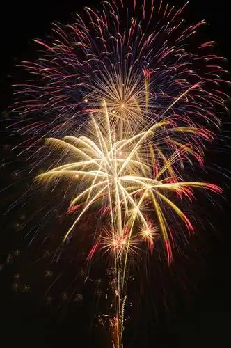 无人,竖图,室外,夜晚,仰视,美景,烟火,日本,亚洲,景观,辉煌,天空,自然