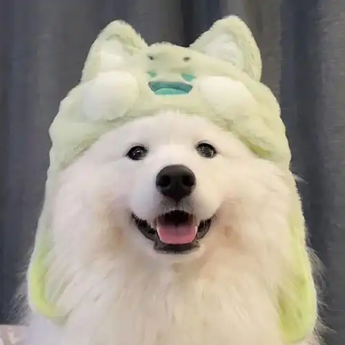 新的狗狗头像拍了拍你