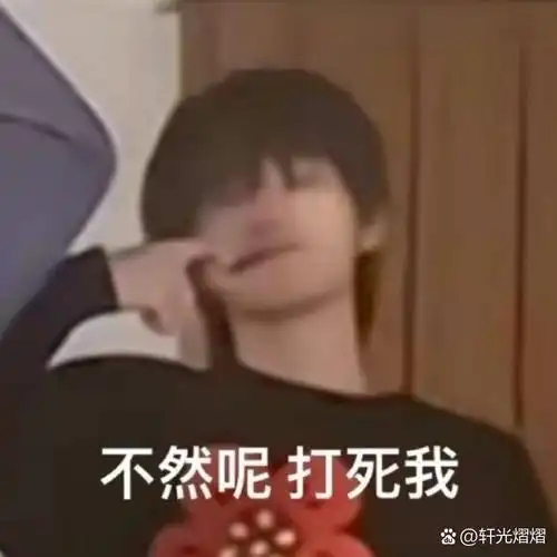 来分享宋亚轩的表情包啦!尊搞笑!