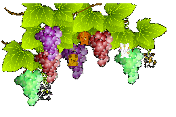 【抠图素材】透明gif花草树木素材(3)