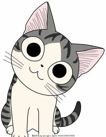 呆萌大眼短腿起司猫头像合集丨起司猫头像～by:理沉