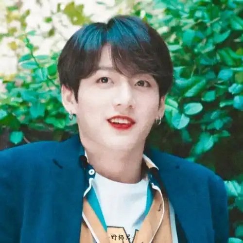 第27期田柾国头像分享