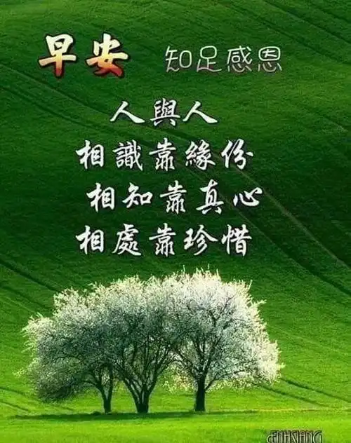 新款早安带字图片 第1页