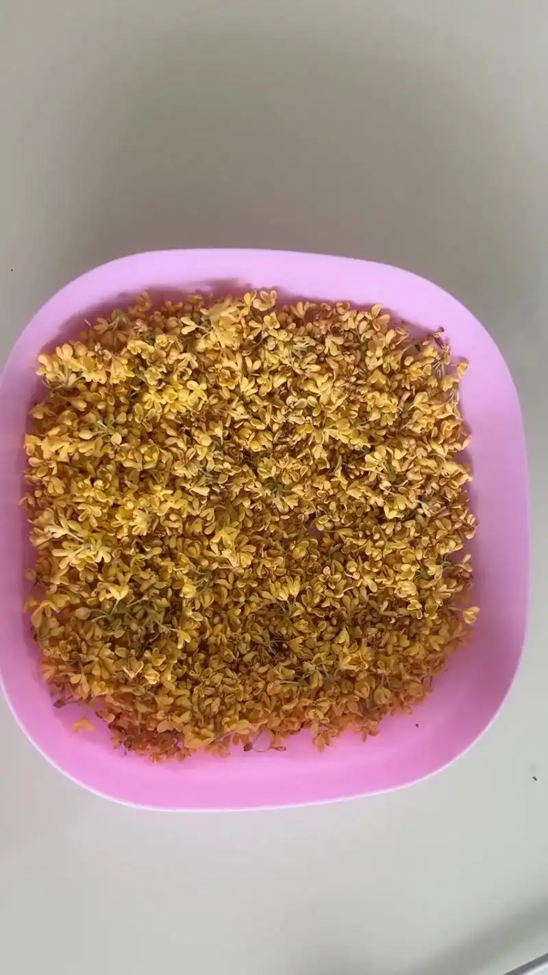 桂花四片花瓣的中间,是一粒粒小米似的淡黄色的花蕊.